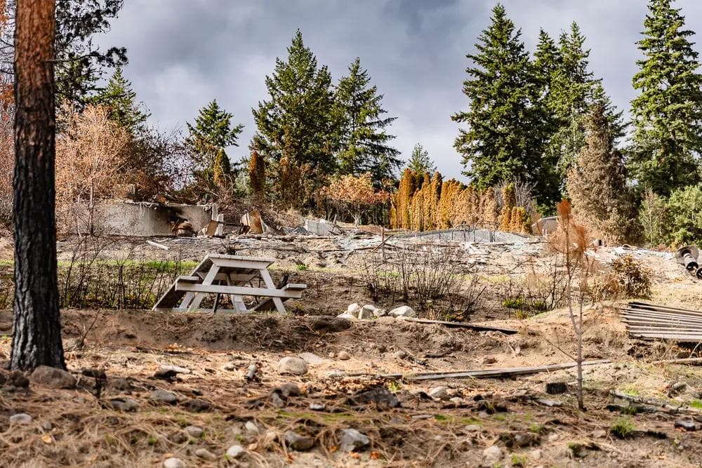 Severe Wildfires Cause Disaster